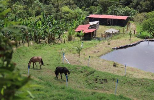 La Estrella House | Finca los alpes