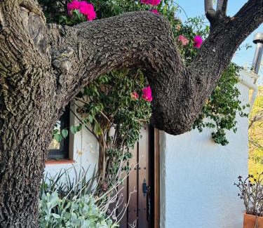 Alba de Tormes Apartment | Finca Los Arcos