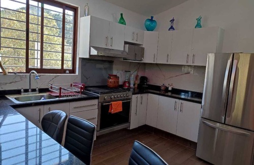 Amealco Cabin | Finca Mayorga