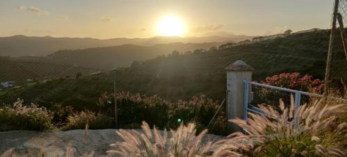 Cajiz Bed & Breakfast | Finca Sol y Cielo