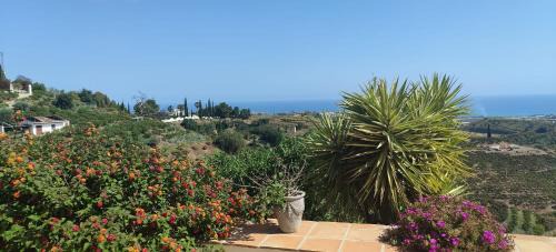 Cajiz Bed & Breakfast | Finca Sol y Cielo