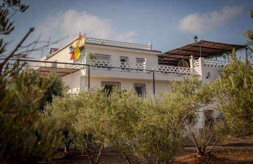 Torre-Pacheco Bed & Breakfast | Finca Tres Molinos B&B