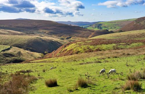 Buxton House | Finest Retreats - End Barn at Blackclough Farm