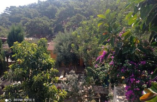 Finike Ski Chalet | Finike Bungalow Orion