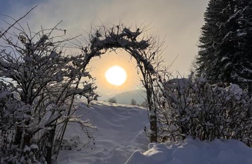 Going am Wilden Kaiser Apartment | Finks Appartement