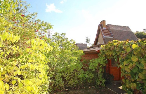 Wustrow House | Finnhütte New Canow SEE 9861 - SEE 9861
