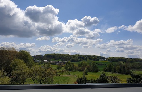 Fleringen Apartment | Finnish sauna infrared sauna, view, Eifel