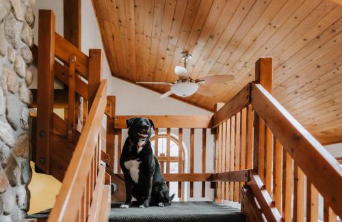 Suttons Bay House | Finnwood - A Pet Friendly Woodland Retreat