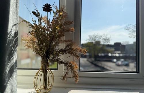 Winchester Apartment | Fiona Place in Winchester city center- 3 Double Beds, 2 Single Beds, 2 Sofa Beds - FREE parking available upon request