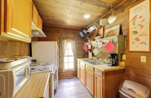 Vein Mountain Cabin | Fire Pit & Hot Tub: Dog-Friendly Marion Retreat