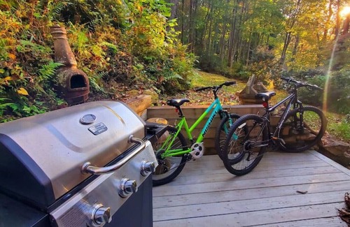 Hendersonville Cabin | Firefly Cabin-1930's Retreat: Bikes, BBQ, walk dtn