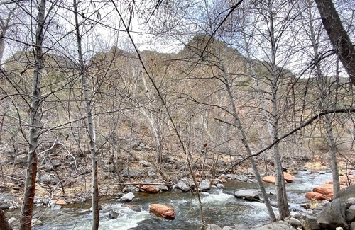Sedona Cabin | *Fireplace *Gary's Place on Oak Creek *BBQ *Minutes form Slide Rock *West Fork *Uptown Sedona
