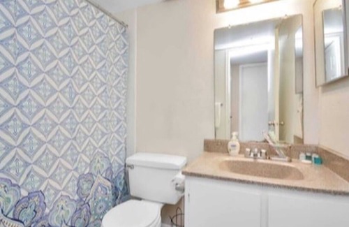 South Main Apartment | First Floor Med Center NRG Walkable-Metro Rail