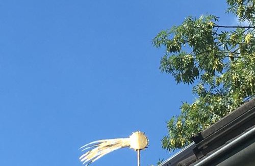 Straupitz House | Fischer´s Häuschen