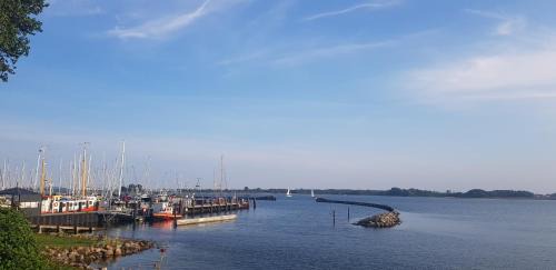 Maasholm House | Fischerstern