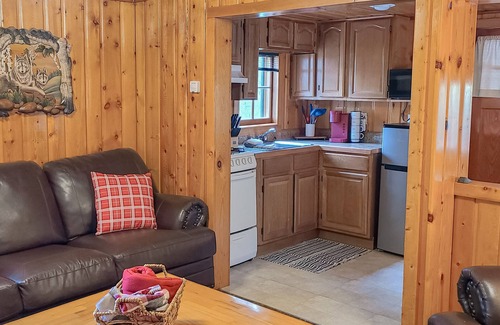 Estes Park Cabin | Fish from your picnic table!