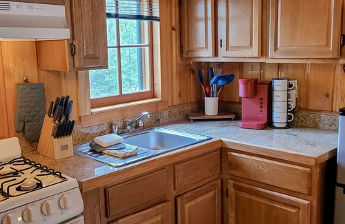 Estes Park Cabin | Fish from your picnic table!