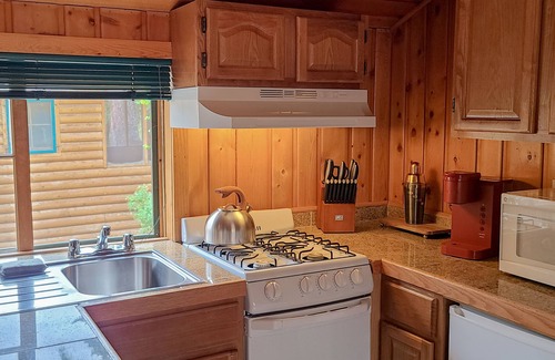 Estes Park Cabin | Fish from your picnic table!