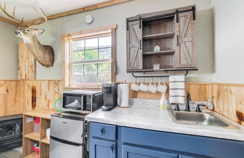 Glace Cottage | Fish, Hike, Explore: Alleghany Cabin Hideaway