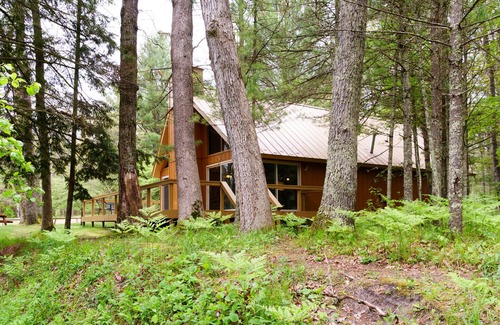 Branch Cabin | Fish & Kayak the Pere Marquette River from this Cozy Cabin on the River Bank