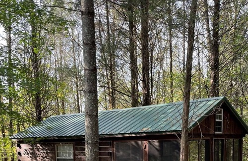 Rome Cabin | Fish Upon A Star, Twin Lakes Country Cabins