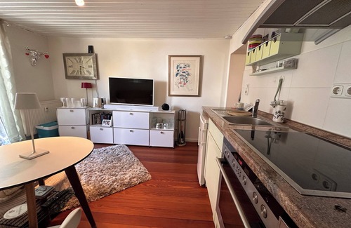 Schierstein Apartment | Fisherman's cottage with big terrace and harbour view!