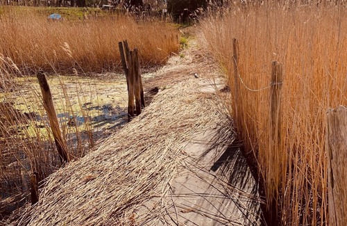 Wendisch Langendorf House | Fisherman's house on the Bodden