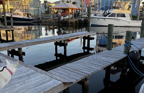 Bayside Park House | FISHERMAN'S PARADISE WITH BOAT SLIP AVAILABLE! ACCESS TO ST. ANDREWS BAY !
