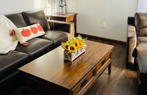 Pulaski Apartment | Fisherman's paradise, historic apartment located on Salmon River!