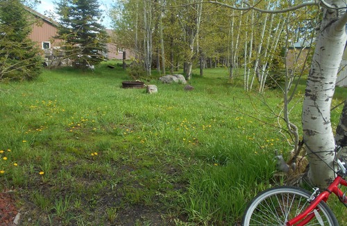 Last Chance Cabin | Fishermans Dream! Near West Yellowstone
