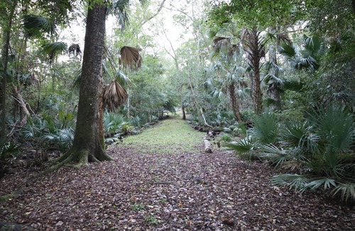 Interlachen House | Fishing, Hiking & Quad Riding in Ocala National Forest on the Ocklawaha