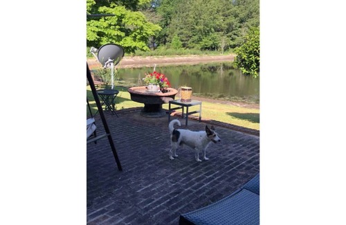 Hartsville House | Fishing paradise!