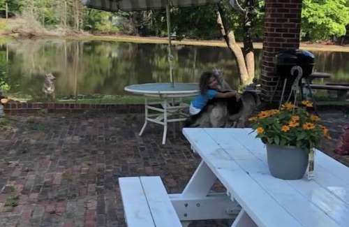 Hartsville House | Fishing paradise!