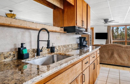 Mayfield Condo | Fishing-Spider Lake-Pontoon Rental-Family Friendly