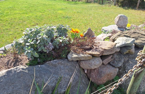 Grambin Apartment | Fiss, Winfried FH 3 A Grambin - holiday home 3 A