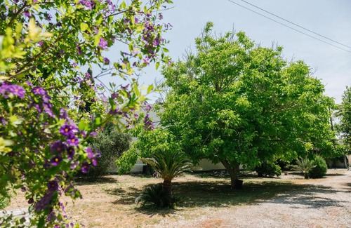 Pano Akourdalia House | Five Greeks 4 Bedroom Villa in Paphos