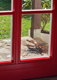 Medenec House | Five maple home for families and wild nature lovers