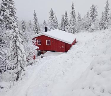 Tokke House | Fjellhytten by Norgesbooking - cozy traditional cabin