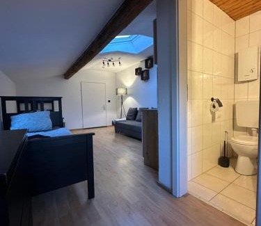 Dueren Apartment | Flamingo 2 - zentrale Wohnung - Düren