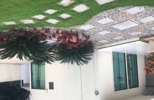 Manguinhos Apartment | Flat Delicioso em Búzios - Localização Privilegiada