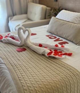 Araras Apartment | Flat em Itaipava!