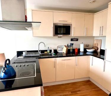 Highbury West Apartment | Flat in Arsenal Islington Central London