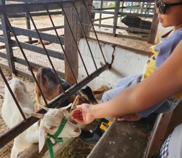 Saire Apartment | Flat Monte Castelo - Comodidade incrível 2