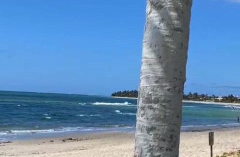 Tamandare Apartment | Flat no Apart Hotel Marinas beira mar