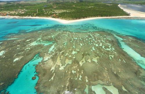 Tamandare Apartment | Flat no Carneiros Beach Resort