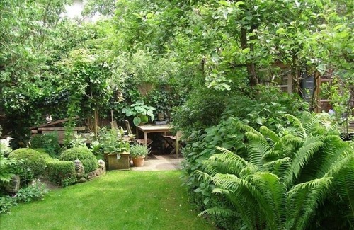 Middenmeer House | Fleur d'Amsterdam, Safe, Clean, Cosy and Happy! 2 to 4 persons