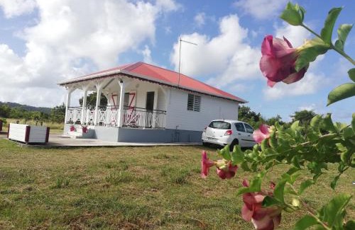 Saint-Louis House | Fleur d'Hibiscus