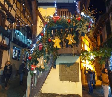 Eguisheim Apartment | Fleur de Vigne