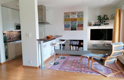 Charmey Apartment | Fleur des alpes, Les Edelweiss