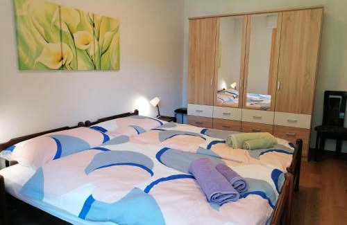 Charmey Apartment | Fleur des alpes, Les Edelweiss